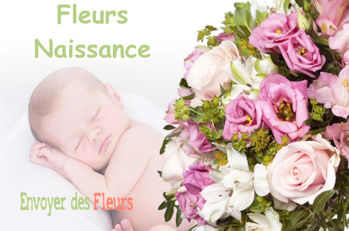 lIVRAISON FLEURS NAISSANCE à MONCONTOUR